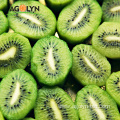 farm wholesale high level OEM kiwi fruit